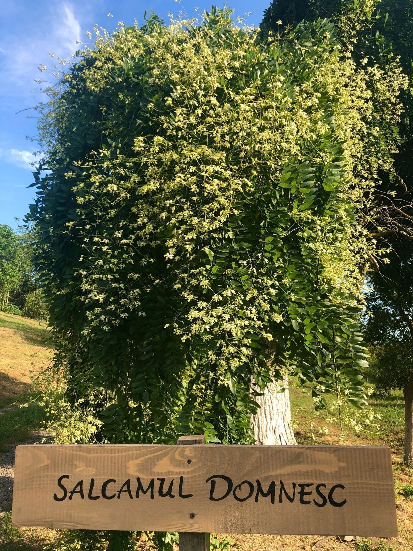 Natură la Domeniile Murani